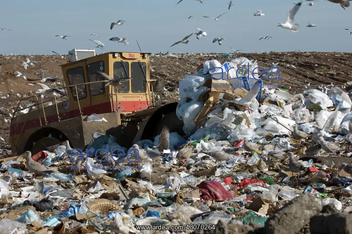 : Landfill and trash compactor. Onslow County Landfill, North Carolina : Landfill and trash compactor. Onslow County Landfill, North Carolina
