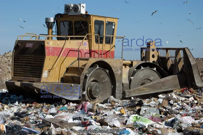 : Landfill and trash compactor. Onslow County Landfill, North Carolina : Landfill and trash compactor. Onslow County Landfill, North Carolina