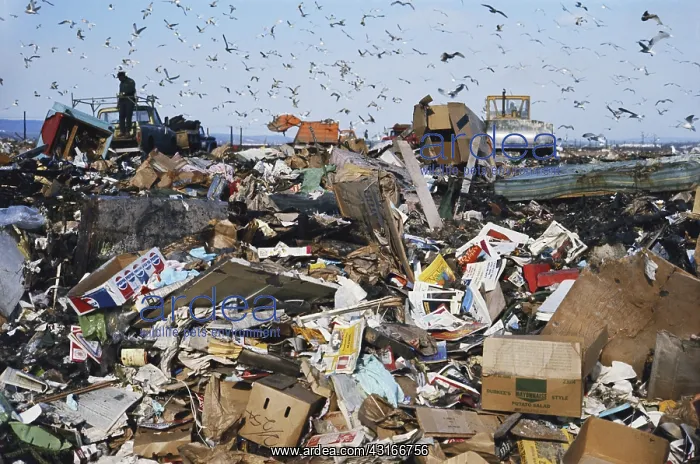 : Landfill Dump : Landfill Dump