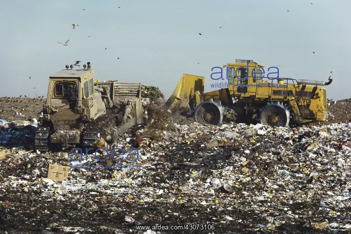 : Landfills. Full landfills in Portland. Circa 1986 : Landfills. Full landfills in Portland. Circa 1986
