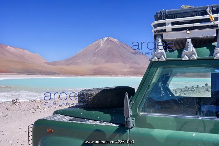 : Landrover at Laguna Verde - a Landrover Defender : Landrover at Laguna Verde - a Landrover Defender