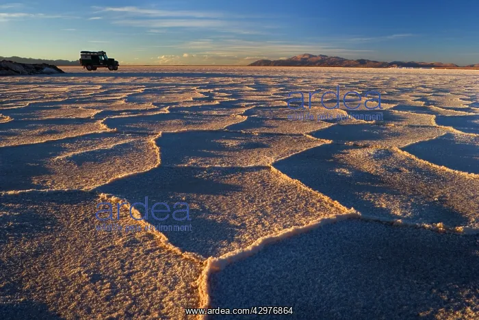 : Landrover on Salinas Grandes del Noroeste - parked : Landrover on Salinas Grandes del Noroeste - parked