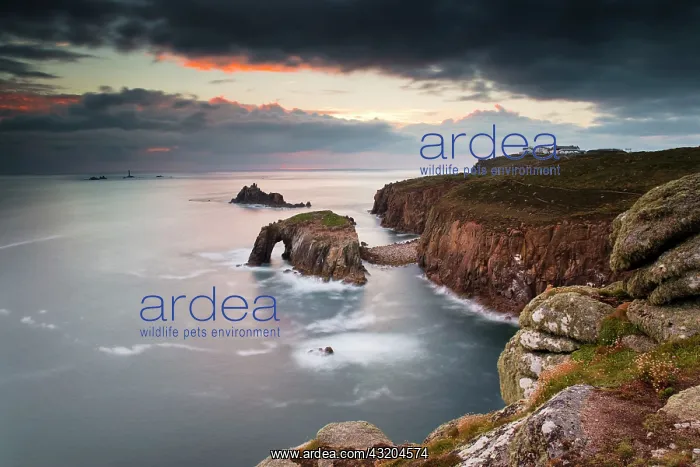 : Land's End - seascape view looking to Armed Knight : Land's End - seascape view looking to Armed Knight