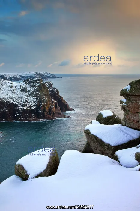  : Land's End - Snow
