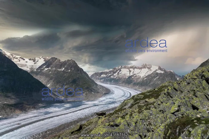 : Landscape with the Aletsch Glacier World Heritage : Landscape with the Aletsch Glacier World Heritage