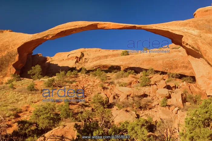 : Landscape Arch - sandstone spanning rocky landscape : Landscape Arch - sandstone spanning rocky landscape