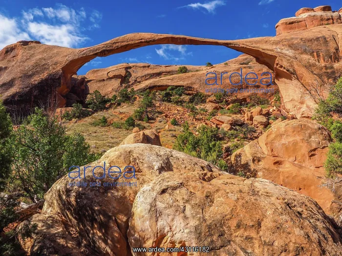 : Landscape Arch, stone arch formed by erosion of : Landscape Arch, stone arch formed by erosion of
