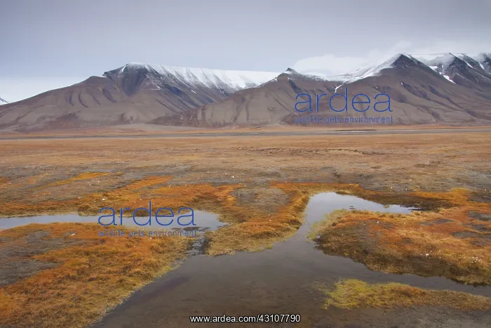 : Landscape in autumn at Adventdalen - Longyearbyen : Landscape in autumn at Adventdalen - Longyearbyen