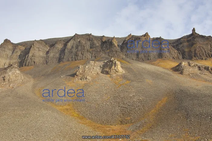 : Landscape in autumn at Adventdalen - Longyearbyen : Landscape in autumn at Adventdalen - Longyearbyen
