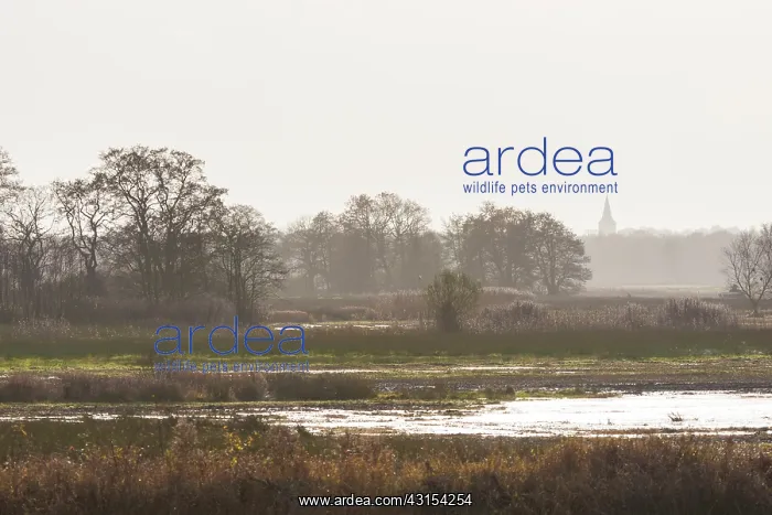 : Landscape with church tower of Rolde in autumn : Landscape with church tower of Rolde in autumn