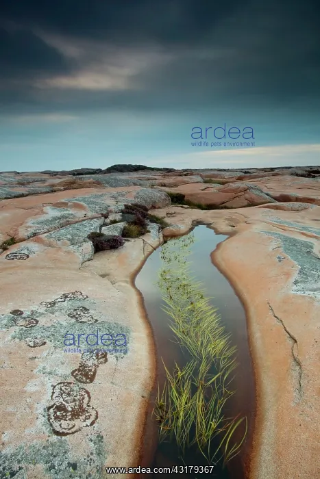 : Landscape of the coast : Landscape of the coast
