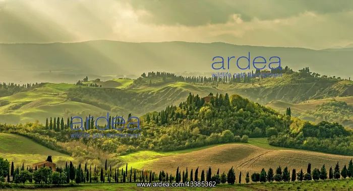 : Landscape Crete Tuscany Panorama Italy : Landscape Crete Tuscany Panorama Italy
