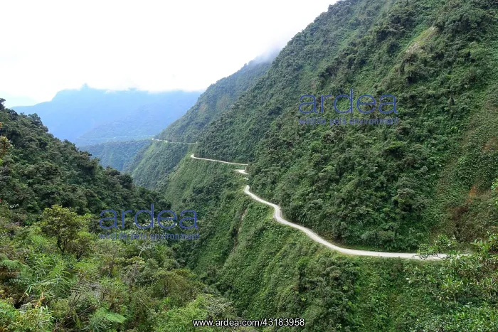 : Landscape on the Death Road, Camino de la Muerte : Landscape on the Death Road, Camino de la Muerte