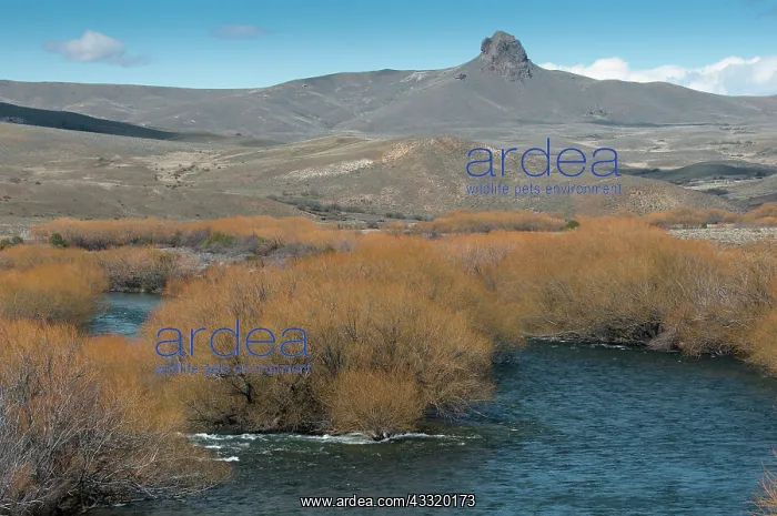 : Landscape in early spring with trees and river : Landscape in early spring with trees and river