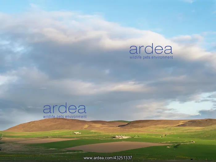 : Landscape with farms, fields and hills during : Landscape with farms, fields and hills during