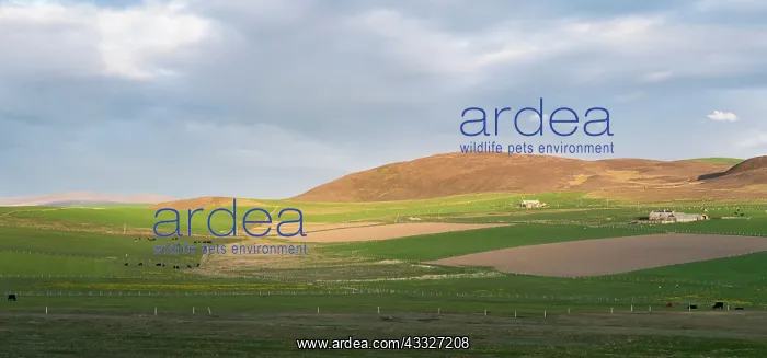 : Landscape with farms, fields and hills during : Landscape with farms, fields and hills during