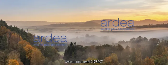 : Landscape in Franconian Switzerland in autumn : Landscape in Franconian Switzerland in autumn