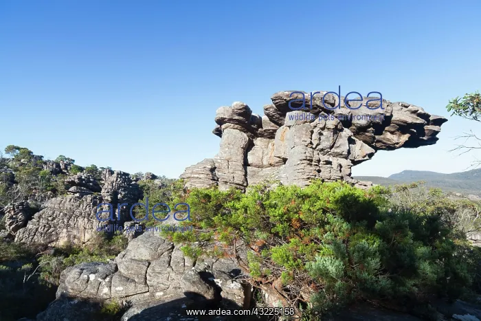 : Landscape in the Grampians National Park : Landscape in the Grampians National Park