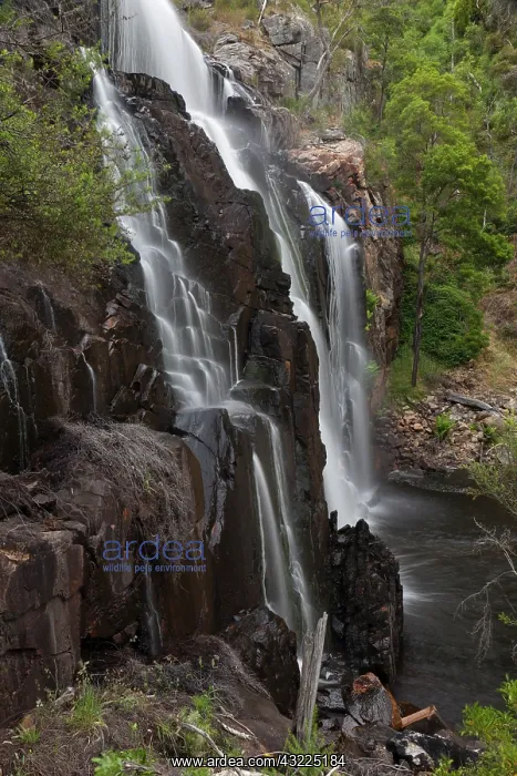 : Landscape in the Grampians National Park : Landscape in the Grampians National Park