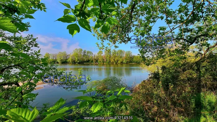  : Landscape of the Great Loire in spring, Loire Valley