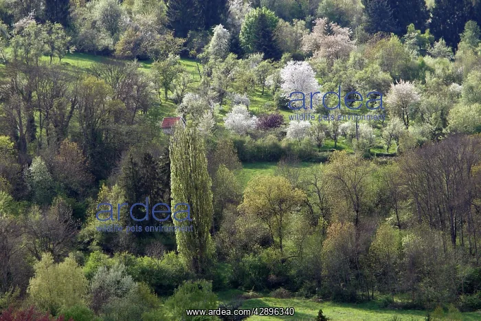  : Landscape in Haute Saone - France