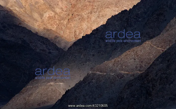 : Landscape of the Himalayas, Ladakh, India : Landscape of the Himalayas, Ladakh, India