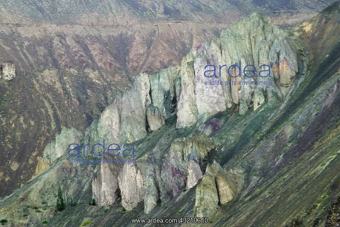 : Landscape of the Himalayas, Ladakh, India : Landscape of the Himalayas, Ladakh, India