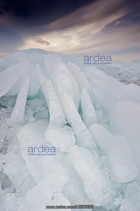 : Landscape with hummocking ice : Landscape with hummocking ice