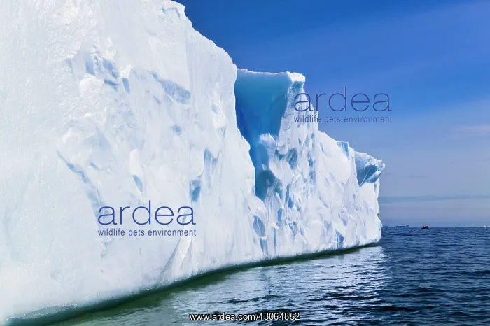 : Landscape of iceberg, American Palmer Station : Landscape of iceberg, American Palmer Station