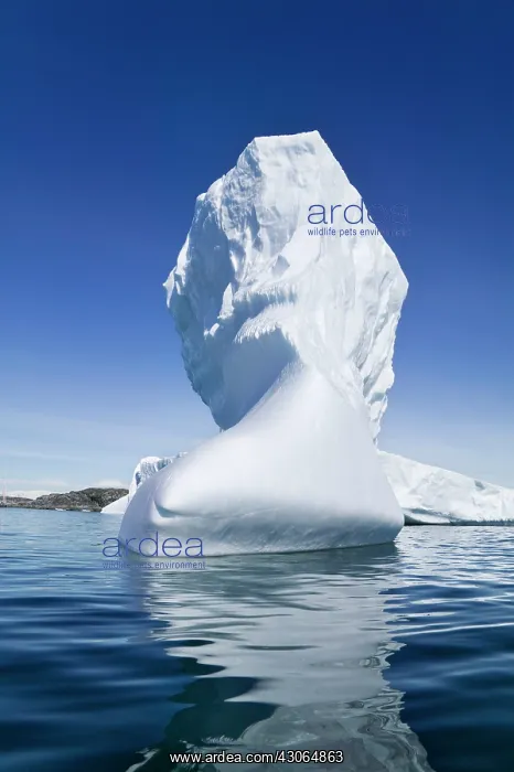 : Landscape of iceberg, American Palmer Station : Landscape of iceberg, American Palmer Station