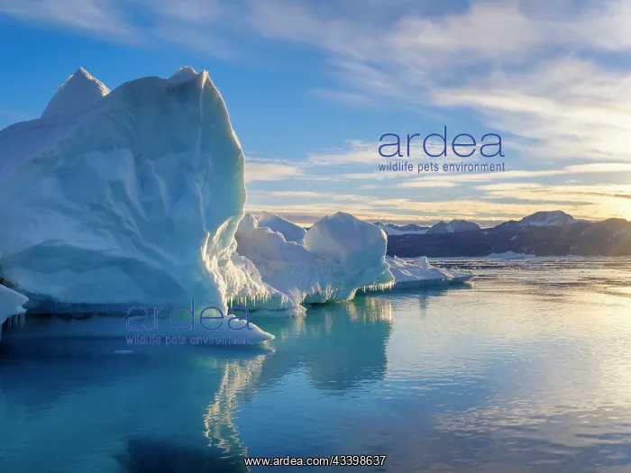 : Landscape with icebergs in the Sermilik (Sermiligaaq) : Landscape with icebergs in the Sermilik (Sermiligaaq)