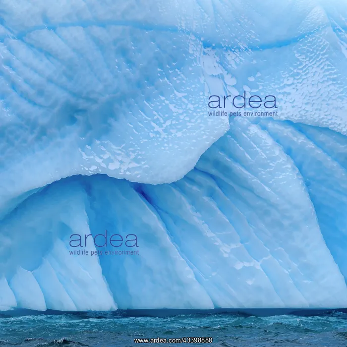: Landscape with icebergs in the Sermilik (Sermiligaaq) : Landscape with icebergs in the Sermilik (Sermiligaaq)
