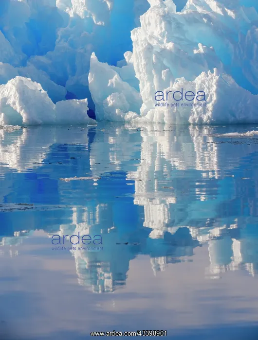 : Landscape with icebergs in the Sermilik (Sermiligaaq) : Landscape with icebergs in the Sermilik (Sermiligaaq)