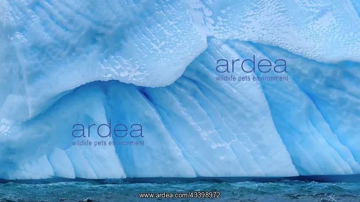 : Landscape with icebergs in the Sermilik (Sermiligaaq) : Landscape with icebergs in the Sermilik (Sermiligaaq)