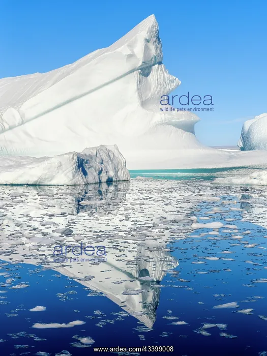: Landscape with icebergs in the Sermilik (Sermiligaaq) : Landscape with icebergs in the Sermilik (Sermiligaaq)