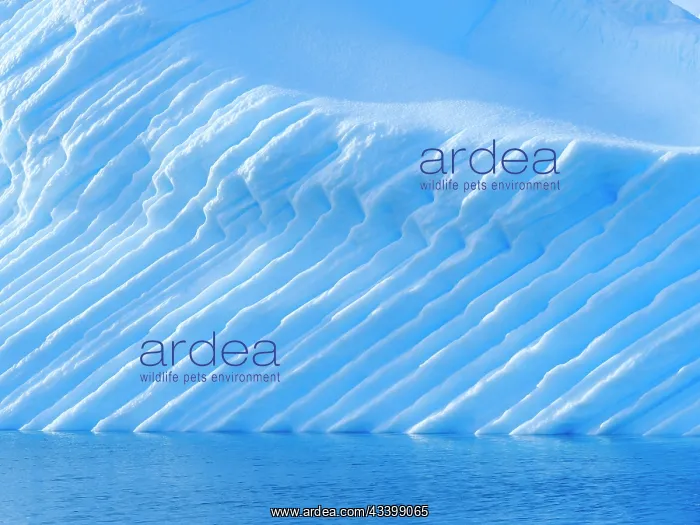 : Landscape with icebergs in the Sermilik (Sermiligaaq) : Landscape with icebergs in the Sermilik (Sermiligaaq)