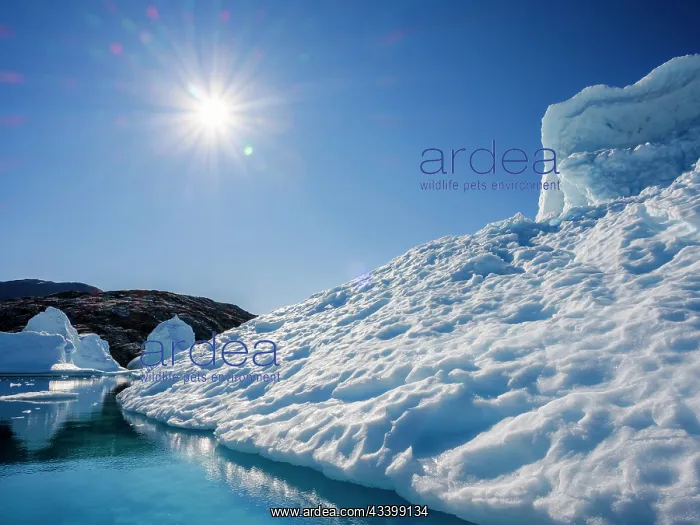 : Landscape with icebergs in the Sermilik (Sermiligaaq) : Landscape with icebergs in the Sermilik (Sermiligaaq)
