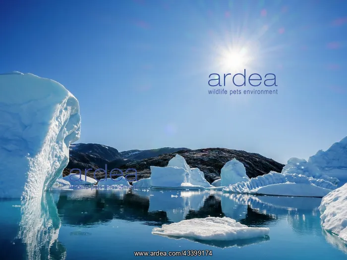 : Landscape with icebergs in the Sermilik (Sermiligaaq) : Landscape with icebergs in the Sermilik (Sermiligaaq)