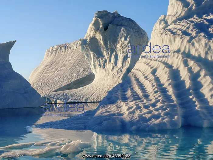 : Landscape with icebergs in the Sermilik (Sermiligaaq) : Landscape with icebergs in the Sermilik (Sermiligaaq)