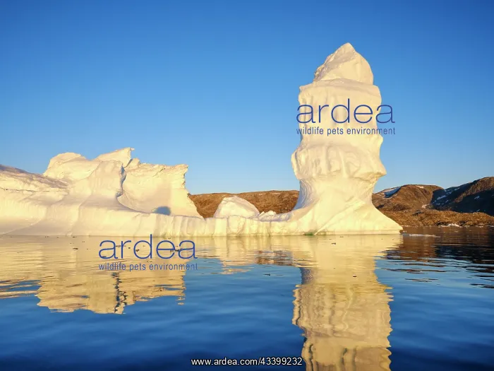  : Landscape with icebergs in the Sermilik (Sermiligaaq)