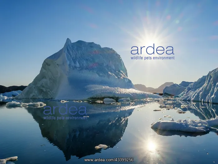 : Landscape with icebergs in the Sermilik (Sermiligaaq) : Landscape with icebergs in the Sermilik (Sermiligaaq)