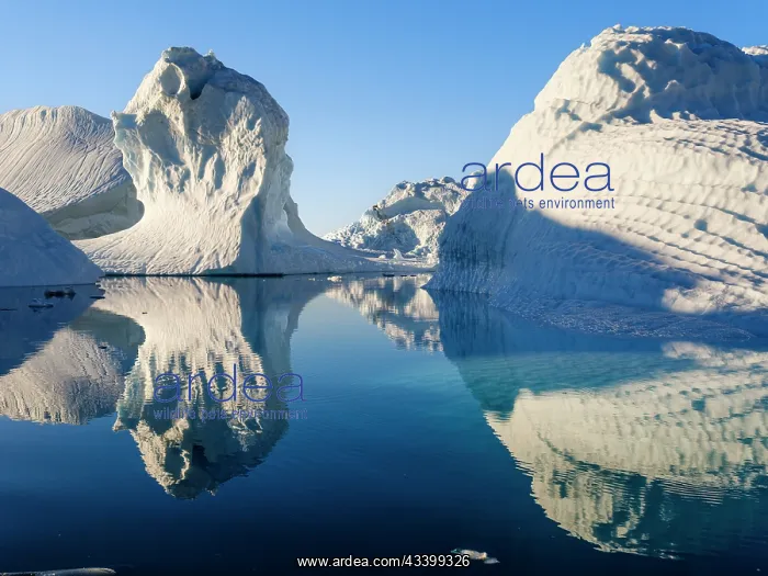 : Landscape with icebergs in the Sermilik (Sermiligaaq) : Landscape with icebergs in the Sermilik (Sermiligaaq)