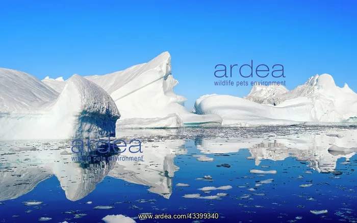 : Landscape with icebergs in the Sermilik (Sermiligaaq) : Landscape with icebergs in the Sermilik (Sermiligaaq)