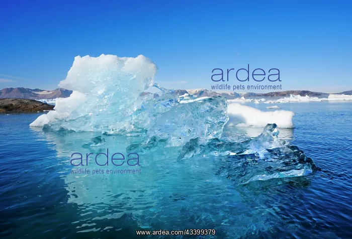 : Landscape with icebergs in the Sermilik (Sermiligaaq) : Landscape with icebergs in the Sermilik (Sermiligaaq)
