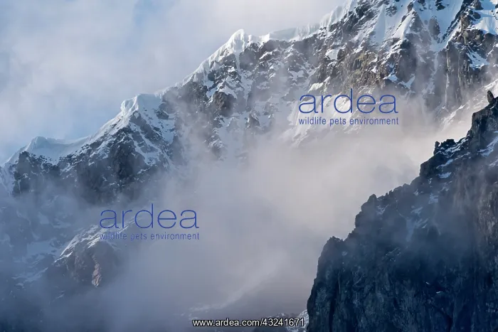 : Landscape of island shrouded in mist, Antarctica : Landscape of island shrouded in mist, Antarctica