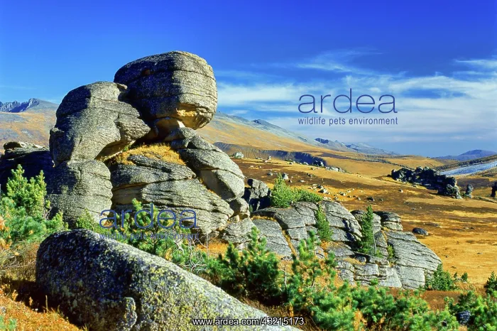 : Landscape, Kazakhstan, Asia : Landscape, Kazakhstan, Asia