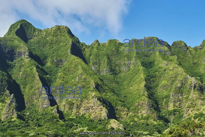 : Landscape of the Kualoa Ranch & Zipline, Hawaiian : Landscape of the Kualoa Ranch & Zipline, Hawaiian