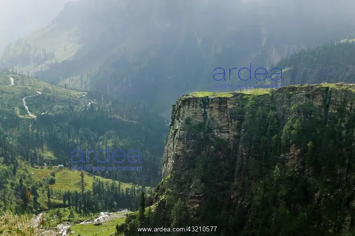 : Landscape of Kulu Valley, between Manali : Landscape of Kulu Valley, between Manali
