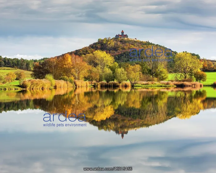 : Landscape with lake in autumn, Veste Wachsenburg : Landscape with lake in autumn, Veste Wachsenburg