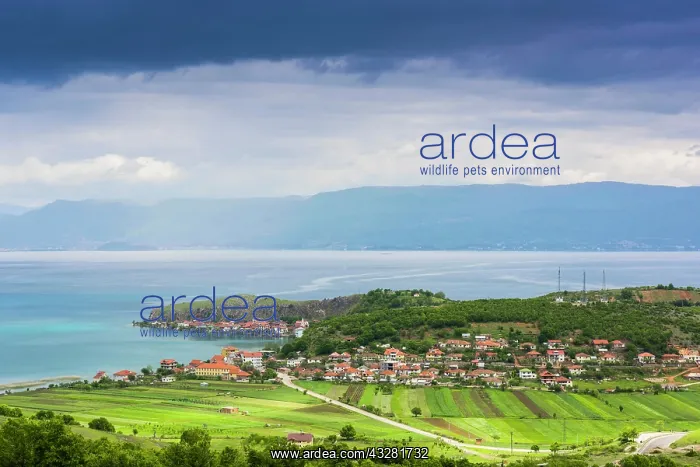 : Landscape at Lake Ohrid near Lin, Albania, Europe : Landscape at Lake Ohrid near Lin, Albania, Europe